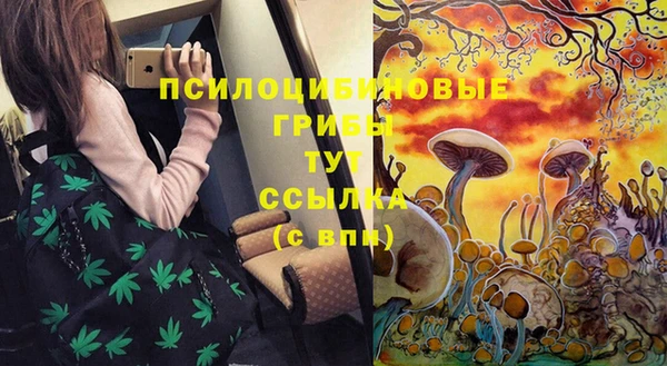 каннабис Дмитриев