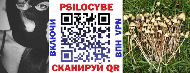 Купить  Конаково  Галлюциногенные грибы прущие грибы 